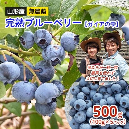 山形産 無農薬 完熟ブルーベリー500g(100g×5パック) FS22-308