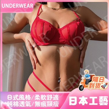 🚀虧本到貨🚀日本🇯🇵歐美時尚性感內衣女超薄網紗透氣帶鋼圈聚攏大胸顯小文胸套裝