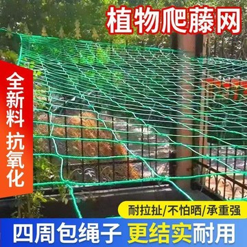 ⚡臺灣出貨⚡植物爬藤網 百香果 豆角 黃瓜 月季 吊瓜 絲瓜 苦瓜 葡萄種植 網攀爬藤網 攀爬網 藤蔓植物搭架網
