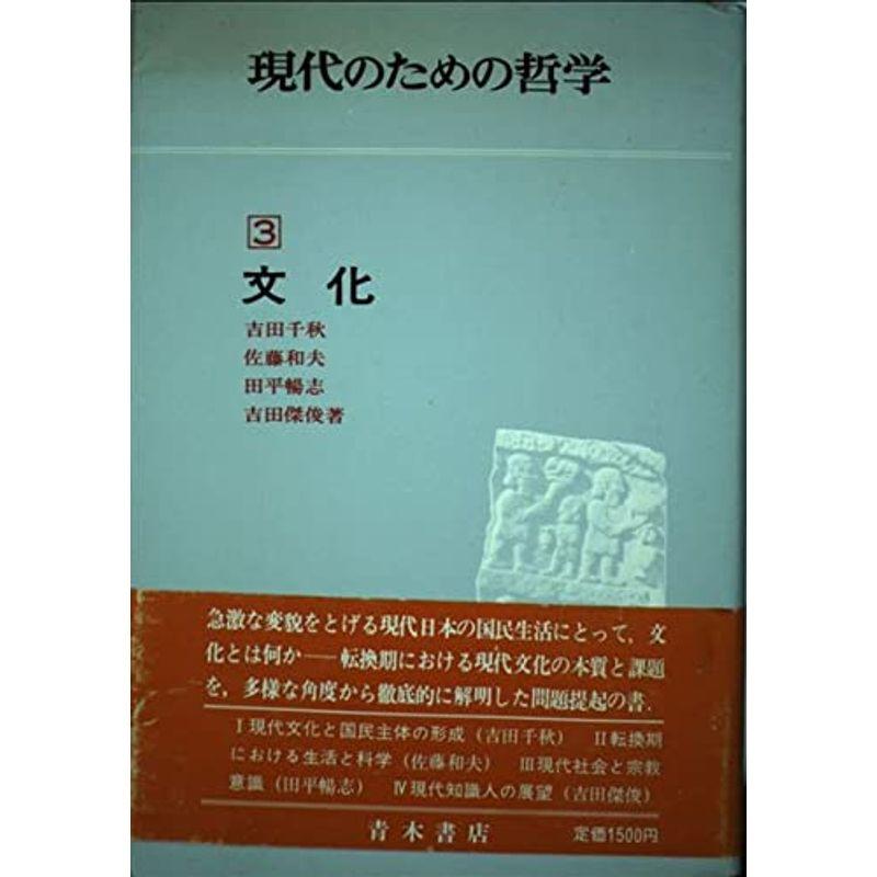 現代のための哲学 (3) 文化