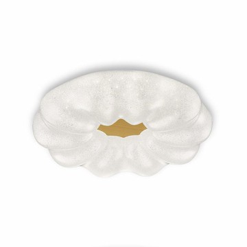 60W三色變光吸頂燈 B09-20-8143-1