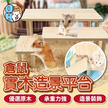 【歐豆K】倉鼠平台 倉鼠籠平台 造景實木平台 倉鼠玩具 造景平台 倉鼠造景 倉鼠躲避 小寵玩具 蘆丁雞 倉鼠樓梯