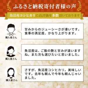 令和5年産 雪室貯蔵 無洗米 お米マイスター厳選 魚沼産 コシヒカリ 1等米 2.5kg（ 米 こしひかり お米 魚沼産コシヒカリ 魚沼産こしひかり 新潟 魚沼 こめ コメ おこめ 白米 ）