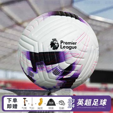 英超足球23-24成人5號球比賽專用球耐踢青少年可印字4號足球兒童