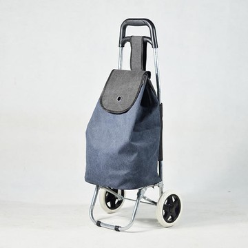 超輕便攜可摺疊手推拉桿拖車帆布袋老人家用購物車買菜小拉車 99購物節