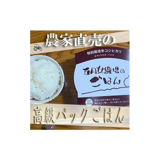 ふるさと納税 栃木県 大田原市 ☆農家直送のパックごはん☆五月女農場のごはん（150ｇ×20個）