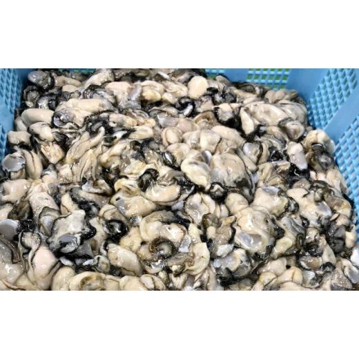 ふるさと納税 北海道 佐呂間町 カキ むき身 大粒 1年貝 1kg（500g無水パック×2） 佐呂間産  サロマ湖 北海道 オホーツク 佐呂間町 牡蠣 海…