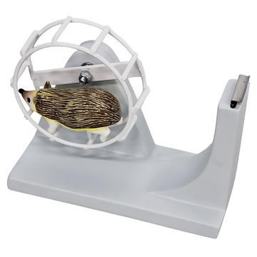 SETOCRAFT 動物跑跑膠帶座 刺蝟造型  刺蝟  1個