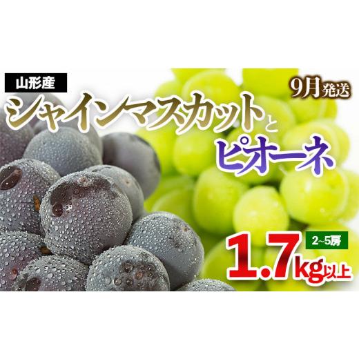 ふるさと納税 山形県 山形市 やまがたのぶどう シャインマスカット＆ピオーネ 秀品 約1.7kg(2〜5房程度) [9月発送] FS23-752