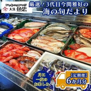 ふるさと納税 定期便 6ヶ月 鮮魚店「魚忠」 厳選鮮魚セット 大洗 厳選 旬 魚 さかな_AS002 茨城県大洗町