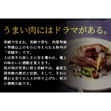 ふるさと納税 受賞歴多数!! 宮崎牛 肩ロース スライス「300g」・焼肉「300g」＆宮崎県産黒毛和牛小間切れ「100g×2」 宮崎県椎葉村