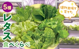 植物工場で育てた5種のレタス食べくらべセット 10パック F21R-159