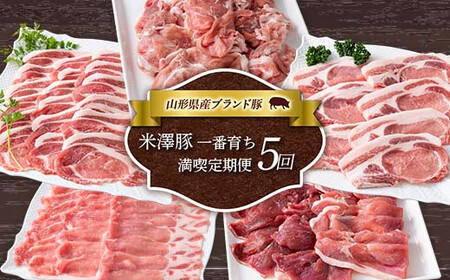 米澤豚一番育ち 満喫定期便 全5回 ブランド豚 豚肉 米沢 米沢豚 山形県 南陽市 1859