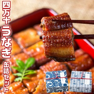 四万十 うなぎ 缶詰セット ギフト  四万十うなぎ 蒲焼（110g）×1缶  四万十うなぎ ひつまぶし（110g）…