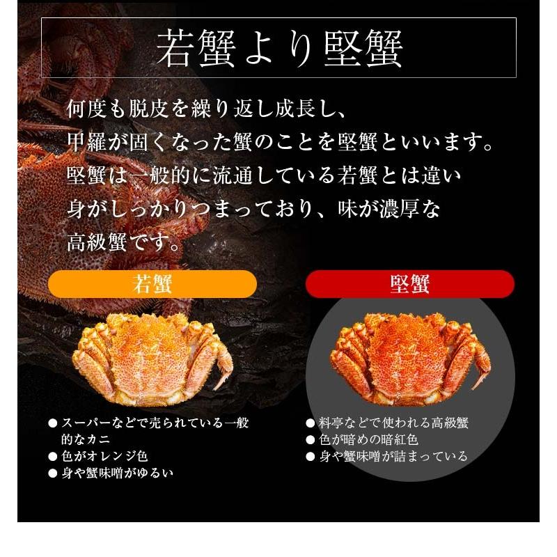 北海道産 活毛がに　500ｇ  中型　毛ガニの美味しさを味わうなら、未冷凍の活け毛蟹。カニ味噌 かに通販 カニお取り寄せ