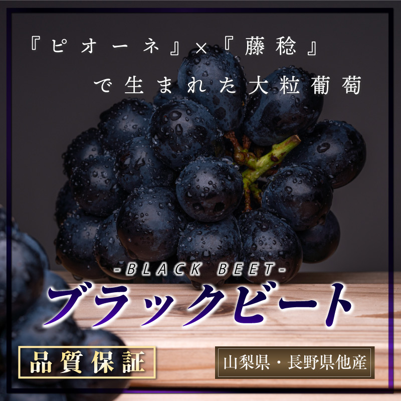 [最短順次発送]   ブラックビート ぶどう 1房 約500g 山梨県 長野県 化粧箱 葡萄  の味覚 大粒 ブドウ フルーツ 秋ギフト  果実ギフト