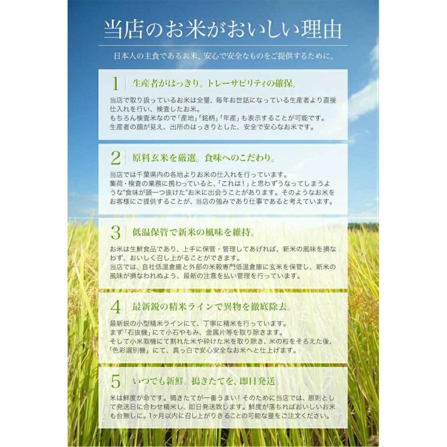 送料無料　令和5年産 新米 千葉県産ふさこがね 玄米30kg (10kg×3袋) 精米無料