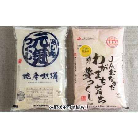 ふるさと納税 夢つくし 5kg＆元気つくし 5kg 福岡県朝倉市