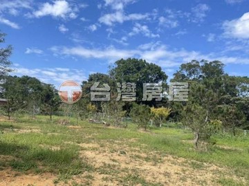 龍源路旁760坪農地近高原交流道｜桃園市龍潭區高平段