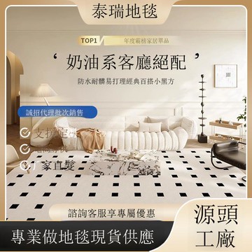 地毯TPR圈絨客廳地毯侘寂風家用極簡吸水防滑地毯臥室方格茶幾毯[DD190109]