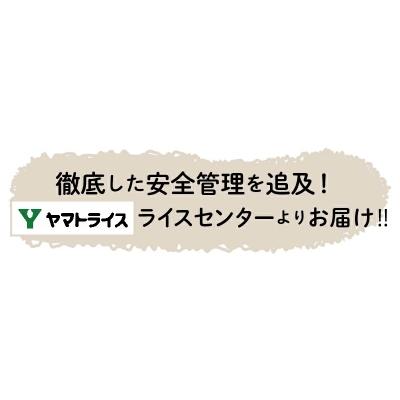 ふるさと納税 碧南市 愛知県産コシヒカリ 5Kg　※定期便6回　H074-552