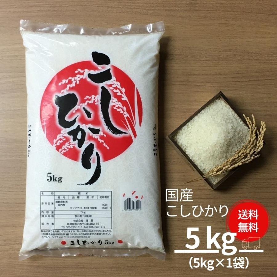 米 お米 5kg コシヒカリ こしひかり 国産 送料無料 令和4年産