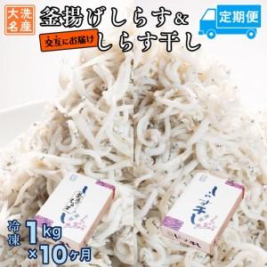 ふるさと納税 釜揚げしらす しらす干し 交互 定期便 (1kg×10か月) 天然 ふっくら 大洗 名産 しらす シラス 魚 さかな 魚介 離乳食 茨城県大洗町