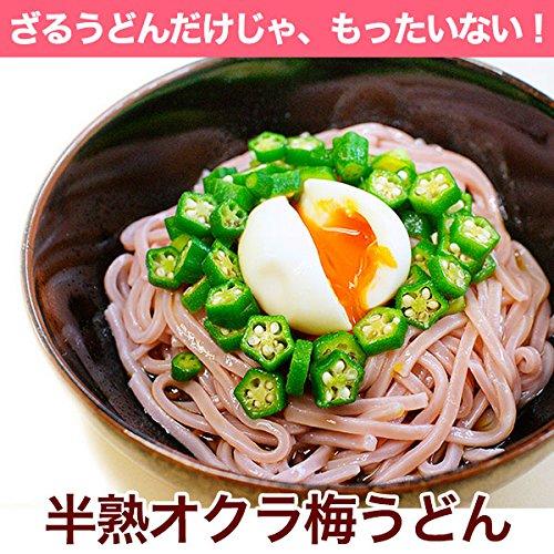 ふみこ農園 ご家庭用 大盛り冷し梅うどん 麺、めんつゆ、梅干240gが付いて10食分セット