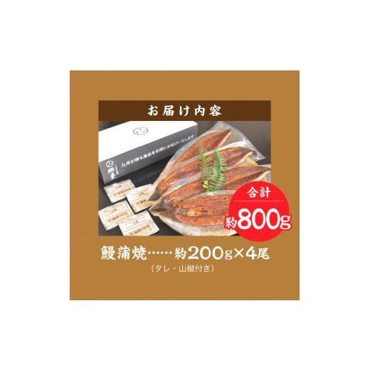 ふるさと納税 福岡県 久留米市 国産うなぎ蒲焼　200ｇ×4尾