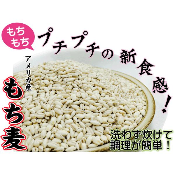 もち麦 1kg (500g×2袋)  (大麦) (メール便 送料無料)