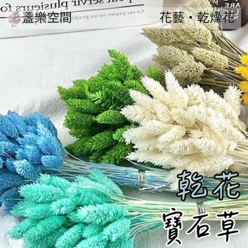 寶石草 加那利 乾燥花 乾燥花圈 乾燥花束 不凋花 拍照道具 手作素材 室內擺飾 乾燥花材 裝飾插花鄉村風