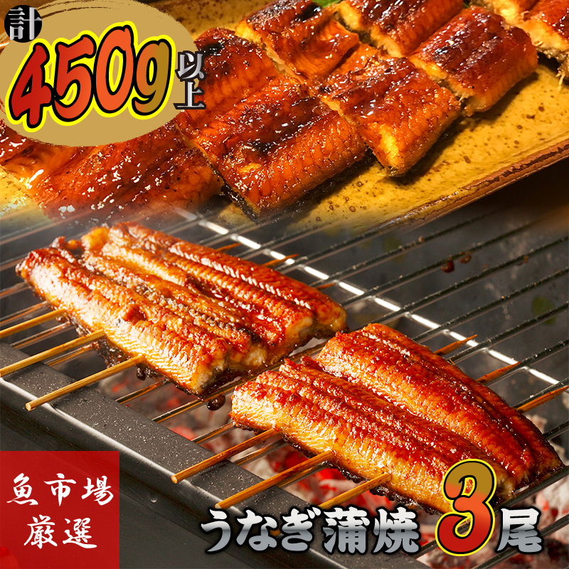 国産うなぎの蒲焼き(3尾)