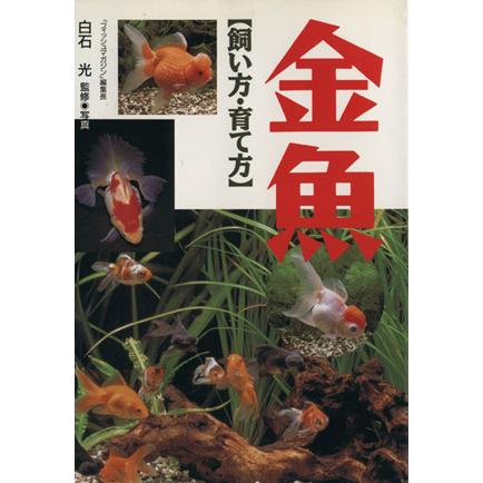 金魚　飼い方・育て方／白石光(著者)