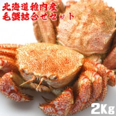 北海道稚内産 浜ゆで毛蟹約2kg詰合せセット(2～4尾入)剥き方パンフレット付