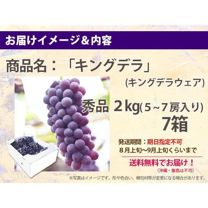 ぶどう キング【 秀 贈答 キングデラ ２kg   ５〜７房入り  ７箱 山形市本沢産 葡萄 ブドウ 送料無料 お中元 ギフト 果物 高級 種無し 敬老の日 農産物