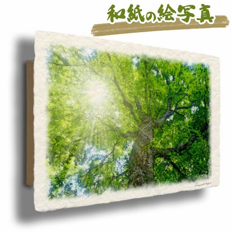 風水 玄関 絵 金運 絵画 トイレ 和紙の絵写真 夏 木 森
