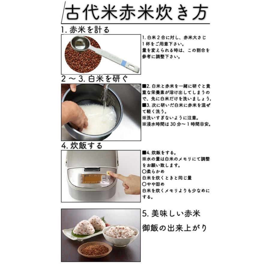 お米 米 1kg 玄米 送料無料 熊本県産 赤米 無農薬 あすつく 新米 令和5年産 古代米 くまもとのお米 富田商店 とみた商店