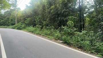 楊梅大面寬農地~超低價歡迎投資客｜桃園市楊梅區長岡嶺段