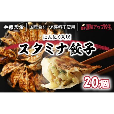 ふるさと納税 宇都宮餃子　スタミナ餃子　保存料不使用 栃木県宇都宮市