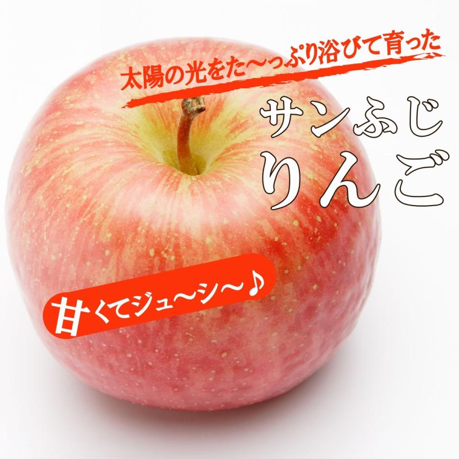 予約 送料無料 たっぷり 約8kg 山形県産 訳あり サンふじ りんご 簡易梱包 茶箱 りんご リンゴ 訳あり 家庭用 わけあり