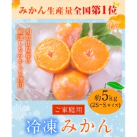 ご家庭用 冷凍みかん 約5kg サンファーム 《30日以内に順次出荷(土日祝を除く)》和歌山県 紀の川市