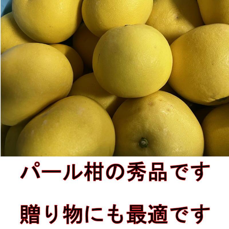 パール柑　秀品　約4キロ　文旦　土佐文旦の仲間　大橘　ブンタン　熊本産　みかん ミカン 蜜柑　80サイズ