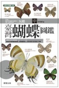 臺灣蝴蝶圖鑑（中）灰蝶