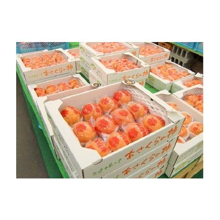 ふるさと納税 柿 かき 冷蔵柿 9〜12玉 約3〜4kg フルーツの里の直売所より 冷蔵富有柿 配送不可：離島 福岡県朝倉市