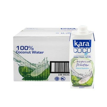 佳樂 椰子水500mlx12入x2箱