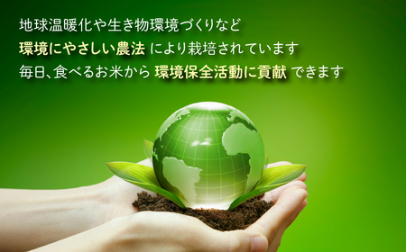 地球にやさしいパックご飯 30食入り　減農薬・減化学肥料 「特別栽培米」－地球にやさしいお米－[B-003009]