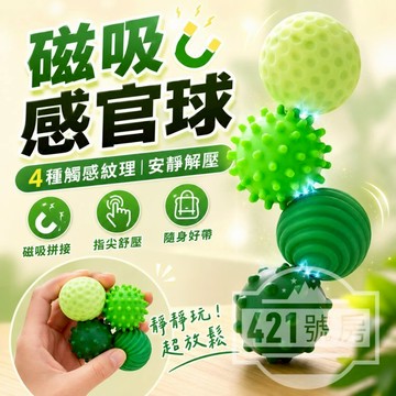 【隔日達+新品限時降價】感官磁力球 硅膠磁力球 感官球 磁吸球 解壓球 減壓球 EDC玩具 EDC