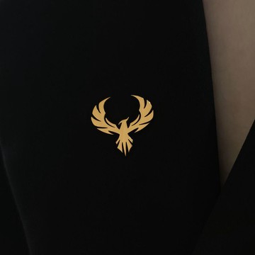 免運🌍鈦鋼鳳凰胸針男士胸針限量版牛仔裝飾高檔復古男士西裝胸針徽章 小別針扣 領針 胸花 時尚胸針 防走光別針 造型胸針