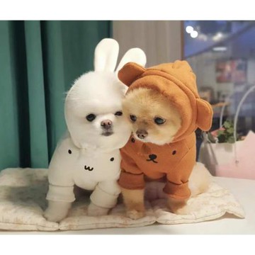 INS風冬季可愛兔子熊耳朵帽衫加絨保暖棉衛衣泰迪比熊法斗狗衣服