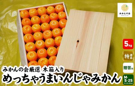 みかん めっちゃうまいんじゃ 木箱入 約5kg みかんの会厳選 特選品 M S 2S サイズのいずれか 和歌山県産 産地直送 S品 贈答用 